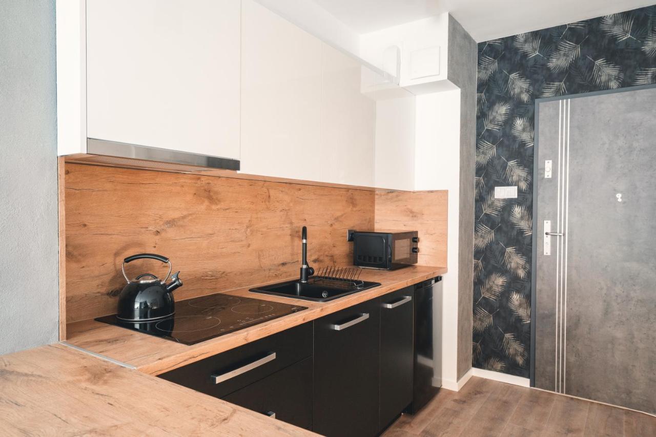 Apartament Nr 16 - Zrodlana 2 Swieradow-Zdroj Exterior foto
