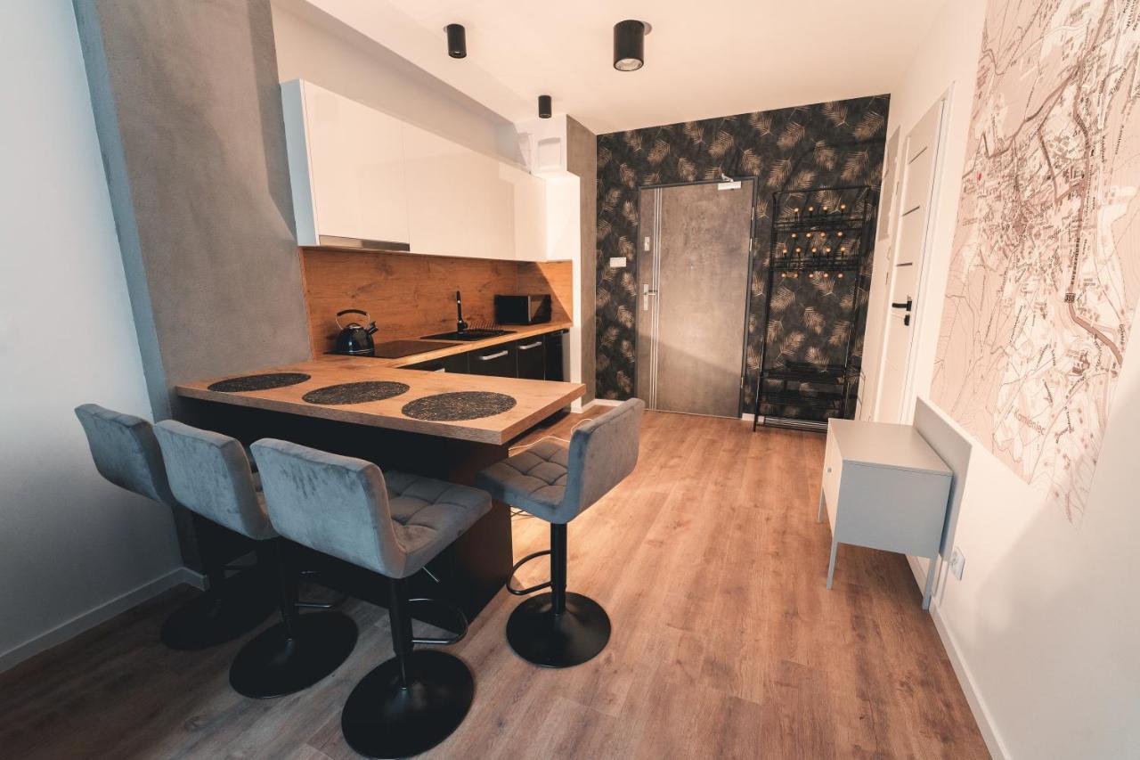 Apartament Nr 16 - Zrodlana 2 Swieradow-Zdroj Exterior foto